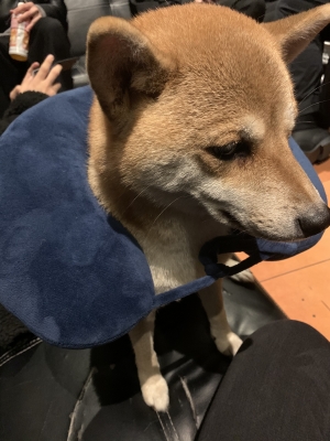 KOSAME(コサメ) セルフマッサージ