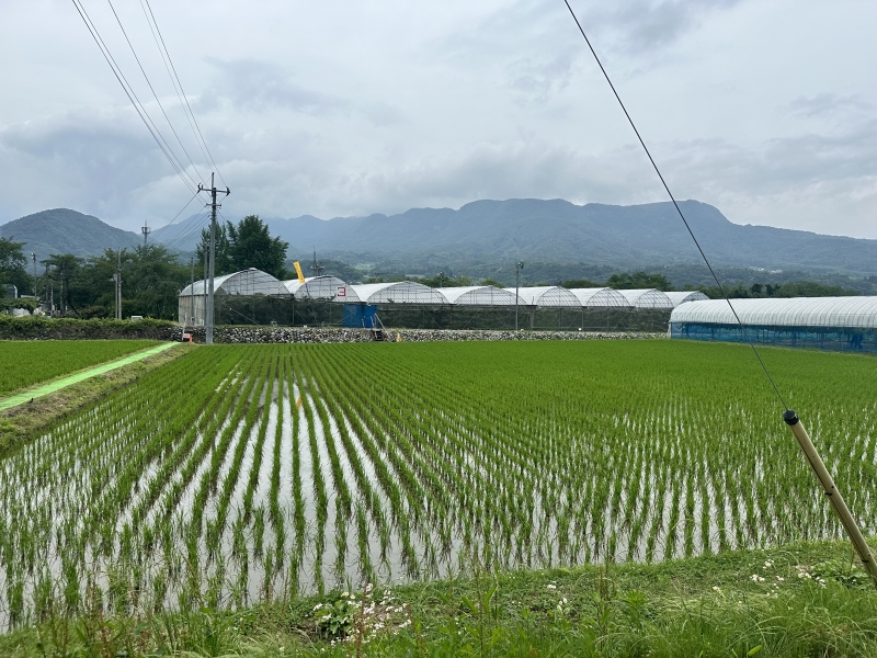 MEGURU(ﾒｸﾞﾙ) 空気が美味しい