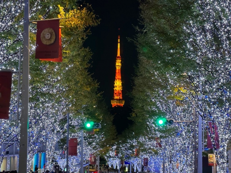 MAMORU(ﾏﾓﾙ) 🗼