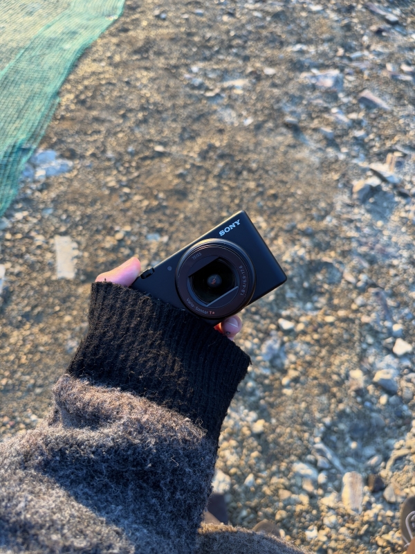 MASH(マッシュ) 旅の相棒!