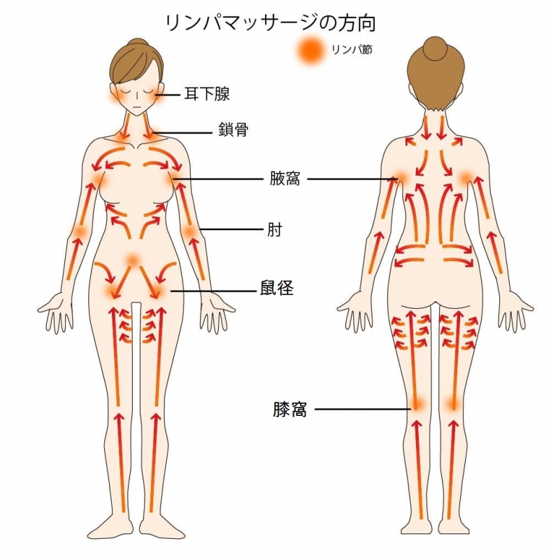 TAISEI(ﾀｲｾｲ) リンパマッサージの勉強✍️