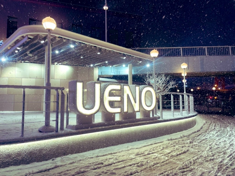 SHIZUKU(ｼｽﾞｸ) 上野に雪！☃️