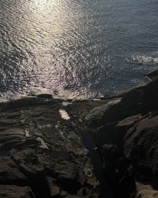 MASH(ﾏｯｼｭ) 鬼ヶ城