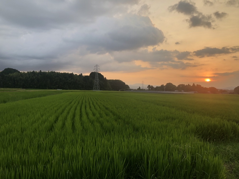 MEGURU(ﾒｸﾞﾙ) 一年以上ぶりだぁ②（完結）