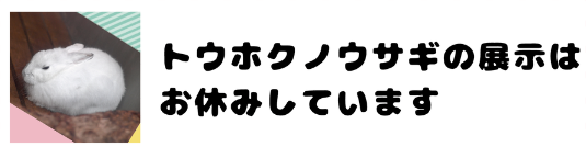 MIO(ﾐｵ) つらつらと