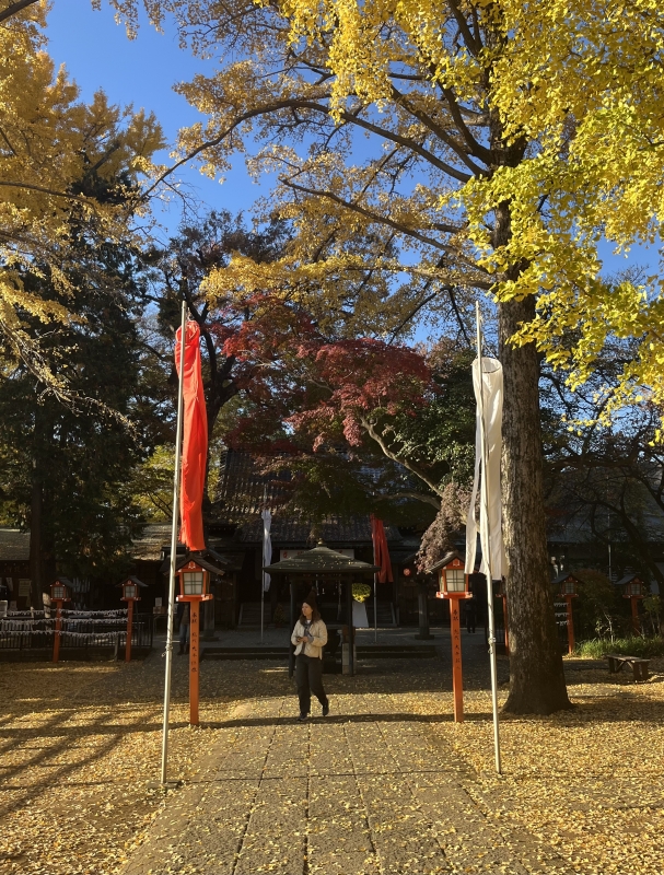 SHINNOSUKE(ｼﾝﾉｽｹ) 紅葉で癒されてきました