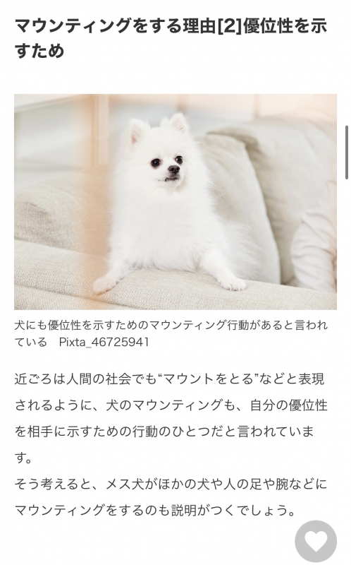 RIKU(ﾘｸ) 犬に腰を振られた話