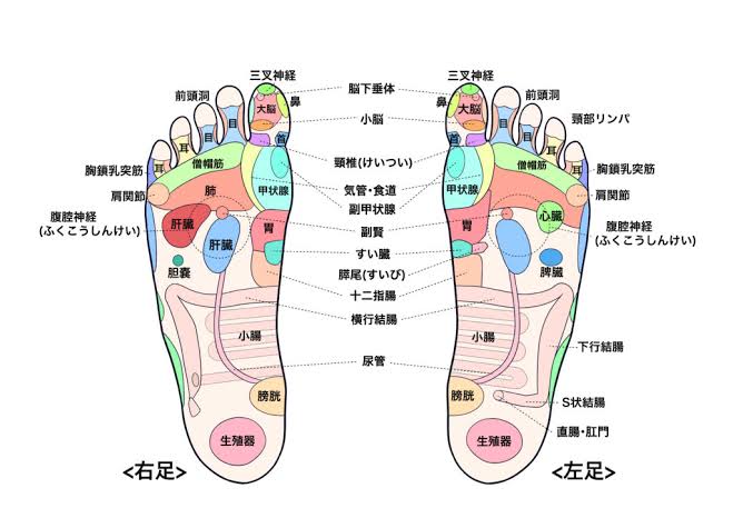 REO(ﾚｵ) 足つぼの効果