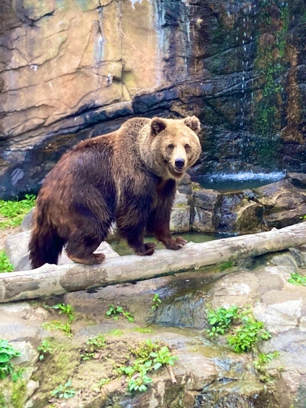 YUU(ﾕｳ) 朝まで起きてます