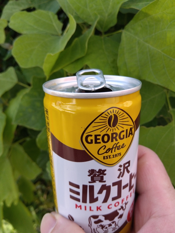 ASK(ｱｽｸ) GEORGIAでひとやすみ