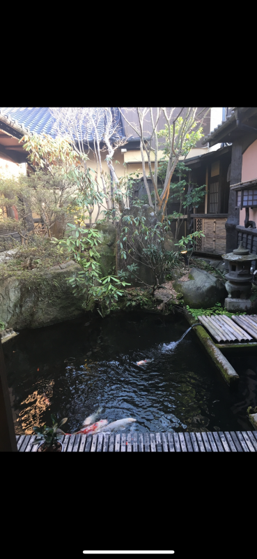  SHUNSUKE(シュンスケ) 大分旅館最高！！