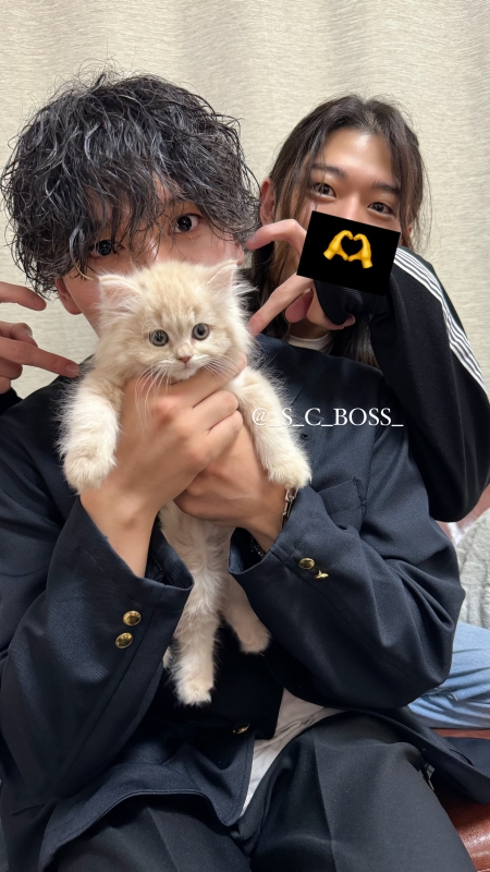 BOSS(ﾎﾞｽ) (^ට ‧̫ ට^)੭ やっ