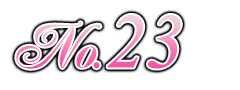 ランキング 第23位